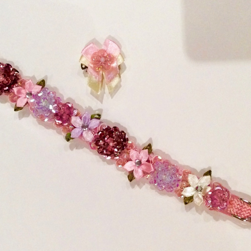 Dog collar one of a kind